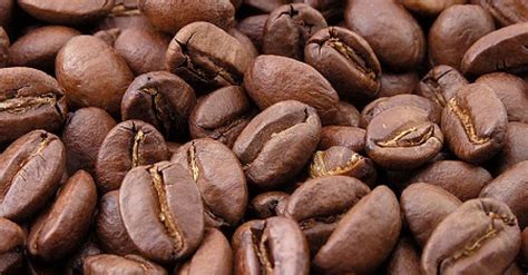 Qual O Coletivo De Cafe - Qual o coletivo de café? | Guia do Estudante