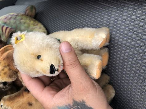 Steiff collection | Collectors Weekly