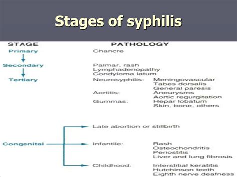 PPT - SYPHILIS PowerPoint Presentation, free download - ID:9235292