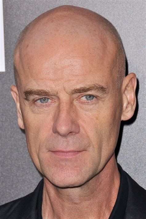 pip torrens movies and tv shows 1