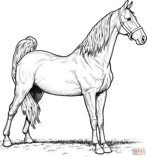 Horse Coloring Pages | Horse Coloring Pages | Pinterest | American ...