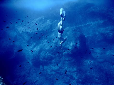Freediving Wallpapers - Top Free Freediving Backgrounds - WallpaperAccess