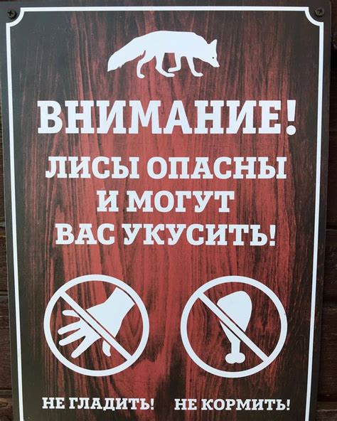 fox gif :: Лиса гифки :: fox :: Лиса :: :: живность :: гифка :: fandoms ...