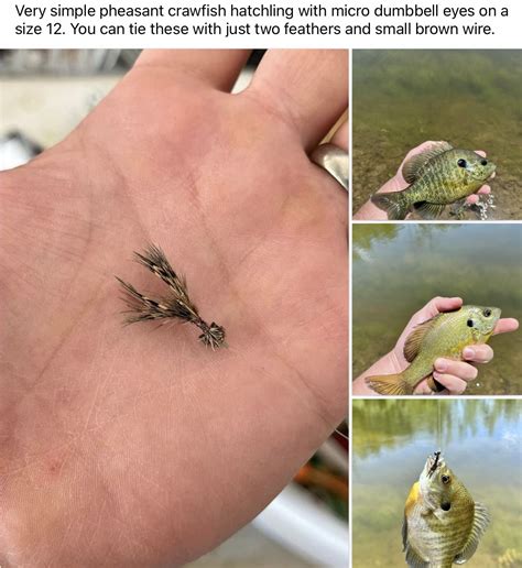 by adam rosson on fly fishing in 2025 | Fly tying patterns, Fly ...