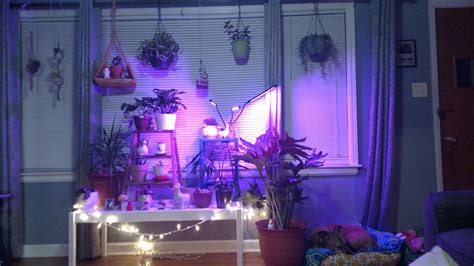 My pittie Izzy Belle got a plant friend placed beside her bed today