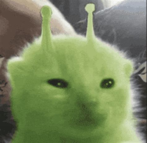Glorp Meme - Glorp - Discover & Share GIFs