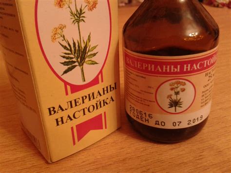 Валерьянка для кошек и котов: наркотик или полезное средство?