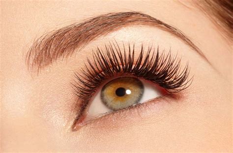 Lash Perfection: How Lash Technicians Can Elevate Your Beauty with ...