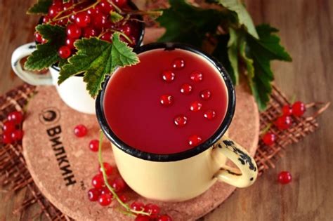 Кисель из брусники - пошаговый рецепт с фото. как приготовить