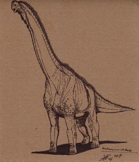 Brachiosaurus altithorax 00 by AtolmAzel on DeviantArt