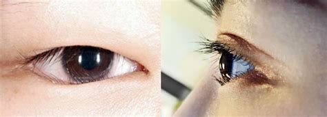 bottom lash extensions   tutorial