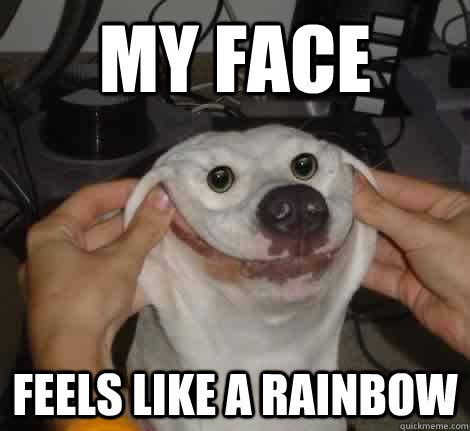 My face Feels like a rainbow - smiley dog - quickmeme