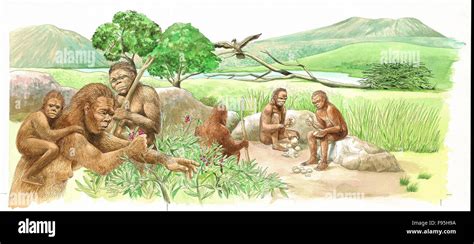 Los primeros seres humanos Fotografía de stock - Alamy