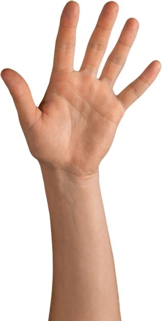 premium photo raised hand