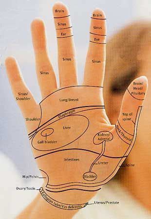 REFLEXOLOGY HAND CHART - Tips & guidelines for hand reflexology charts ...