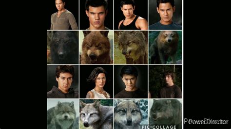 Twilight Quiliute Wolf subliminal (Requested) - YouTube