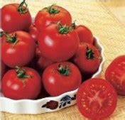 RUSSIAN RED - Yardlands