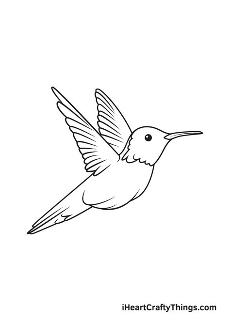 Hummingbird Drawing — How To Draw A Hummingbird Step By Step