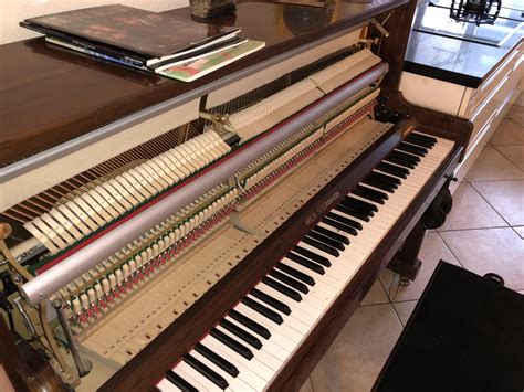 How To Play The Piano: A Beginner’s Guide – Mozart Project