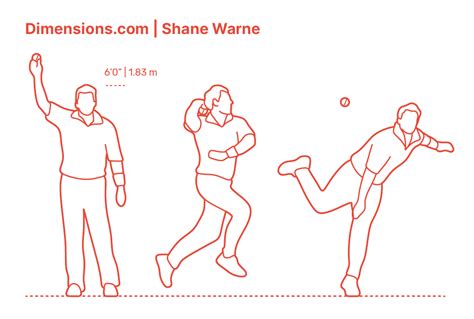 Cricket Ball Dimensions & Drawings | Dimensions.com