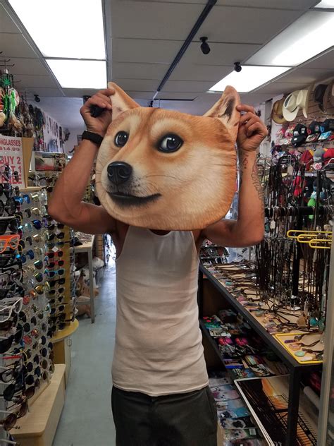 So much wow. : r/doge