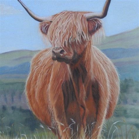 Highland Cow Fine Art Giclee Print From Hand Drawn Pastel - Etsy