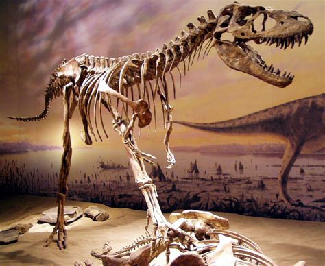 Old Earth Ministries Online Dinosaur Curriculum, Albertosaurus