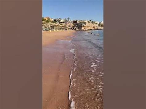 Зима в Египте. Savoy hotel. Egypt. Red Sea. Sharm el Sheikh. Египет ...