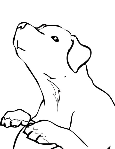 coloring pages golden retriever 9