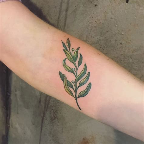 laurel tree tattoo 5