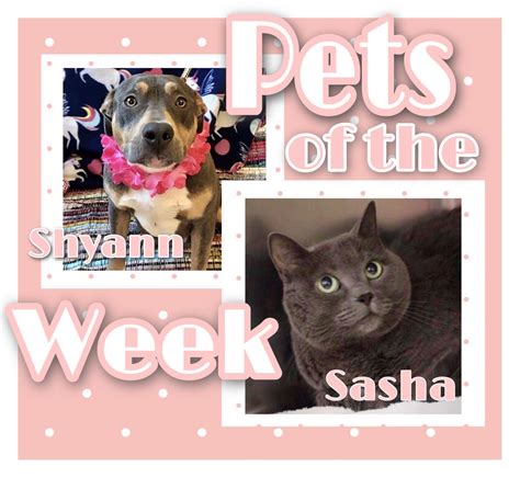 Local activists are calling out burlington county times in nj today 17