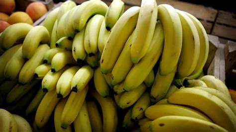 Banan og marcipan i filodej - politiken.dk