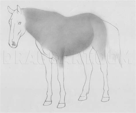 draw  realistic horse drawing step  step  jtm dragoart