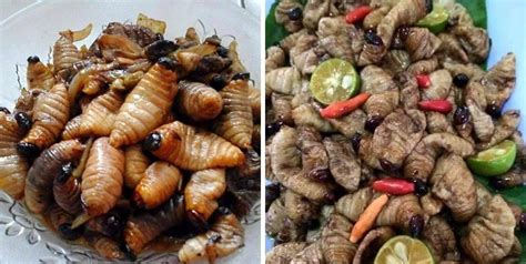 Makanan Malaysia PELIK Tapi Buatkan Ramai Selera Makan - REMAJA