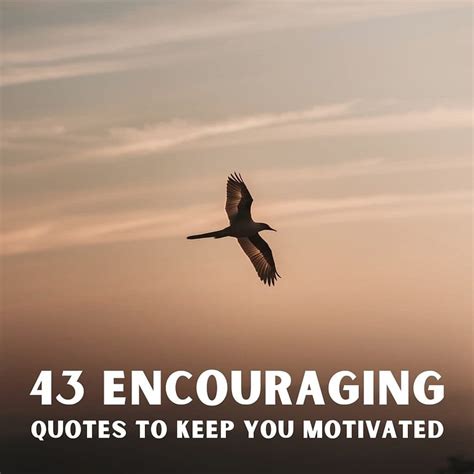 encouraging quotes  lift  spirits daily quotify
