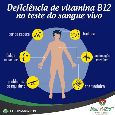 O Que Acontece Quando A Vitamina B12 Está Baixa