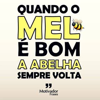 Quando O Mel É Bom A Abelha Sempre Volta Meme