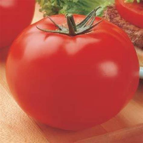 VF Tomato Big Beef - Phocas Gardens