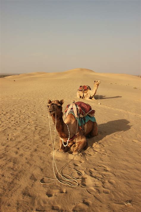 thar desert map of india 4