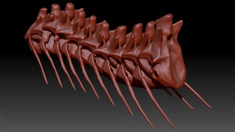 ArtStation - Giganotosaurus Neck Set Skeletons | Game Assets