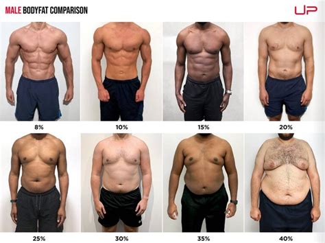 Male Body Fat Percentage Comparison [Visual Guide] | Ultimate Performance