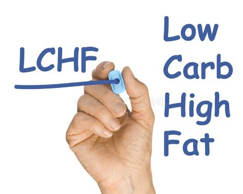 hand   drawing lfhc  fat high carb stock image image