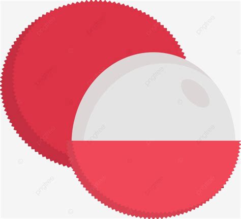 Litchi Drawing Juicy Cartoon Vector, Drawing, Juicy, Cartoon PNG and ...