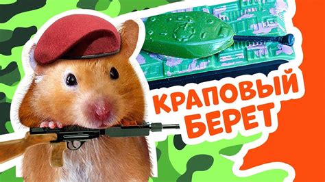 Полоса препятствий лабиринт для хомяков своими руками DIY / МаусХаус ...
