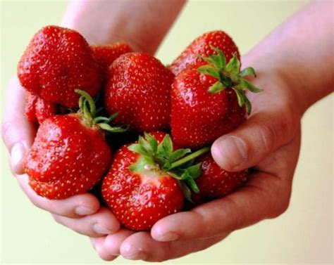 Клубника Эльсанта: особенности сорта | Strawberry, Food, Tasty