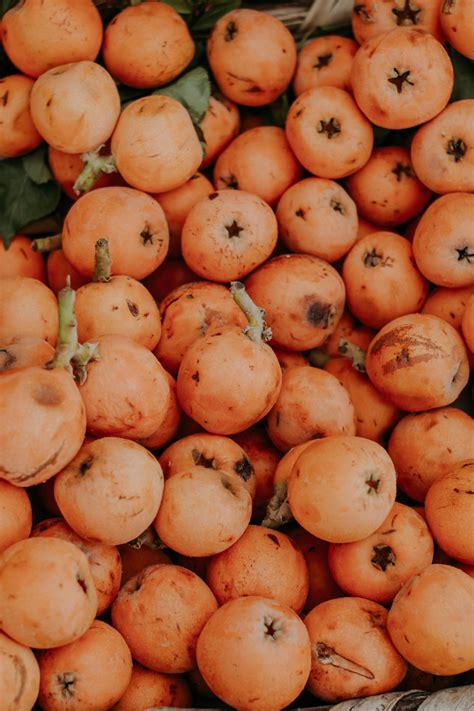 how to eat loquat fruits 4