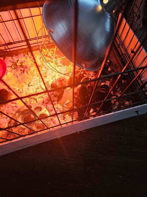 A secret history of parrott and ramsey funeral home in campbellsville ky 26