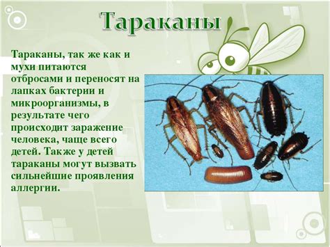 Комбат от тараканов: аэрозоль, гель - инструкция по применению