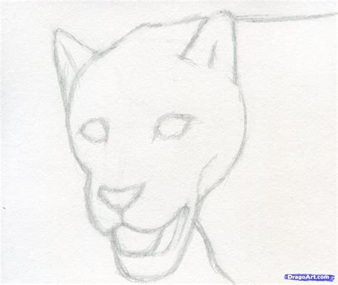 Realistic Animal Drawing at GetDrawings | Free download