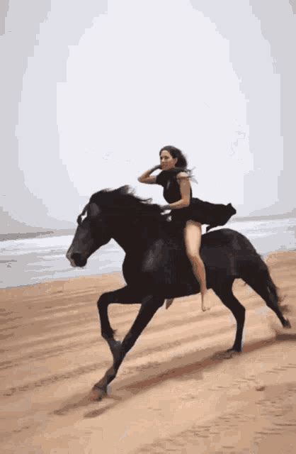 riding horse gif riding horse beach decouvrir  partager des gif